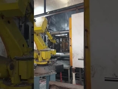 Deniz / Hava / Ekspres Nakliye Dökme dökümleri Ahşap kasa / palet ambalajı